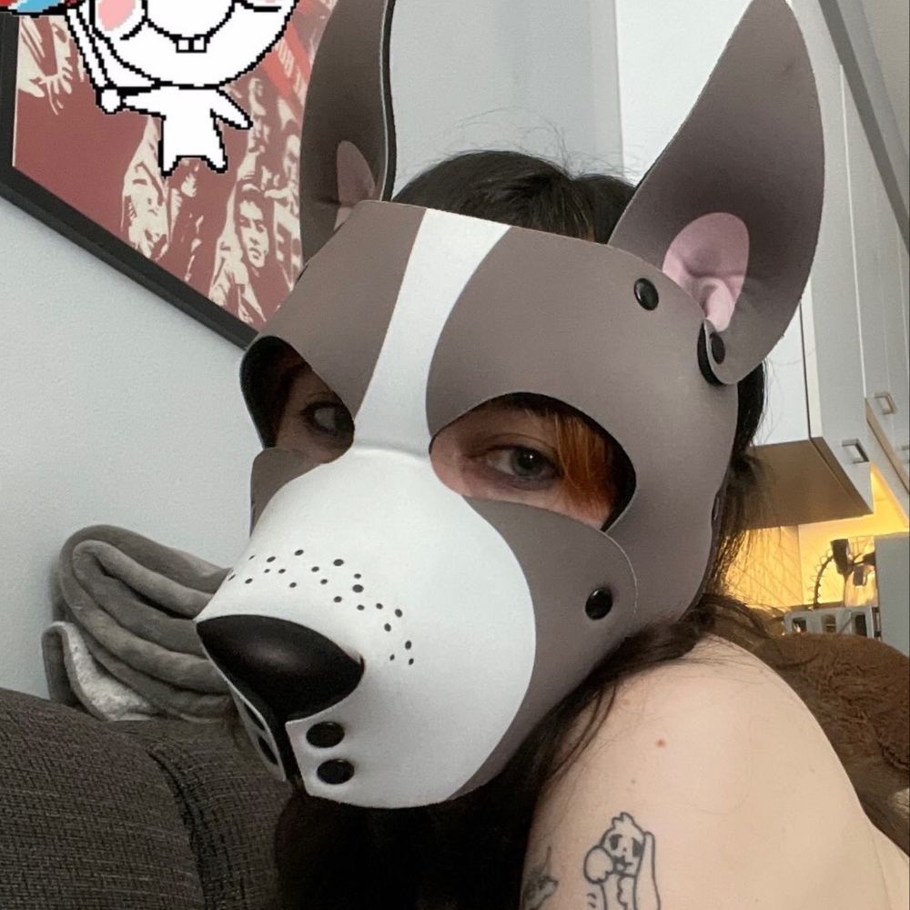 *°:⋆Hound 𓃥 ⋆:°*
