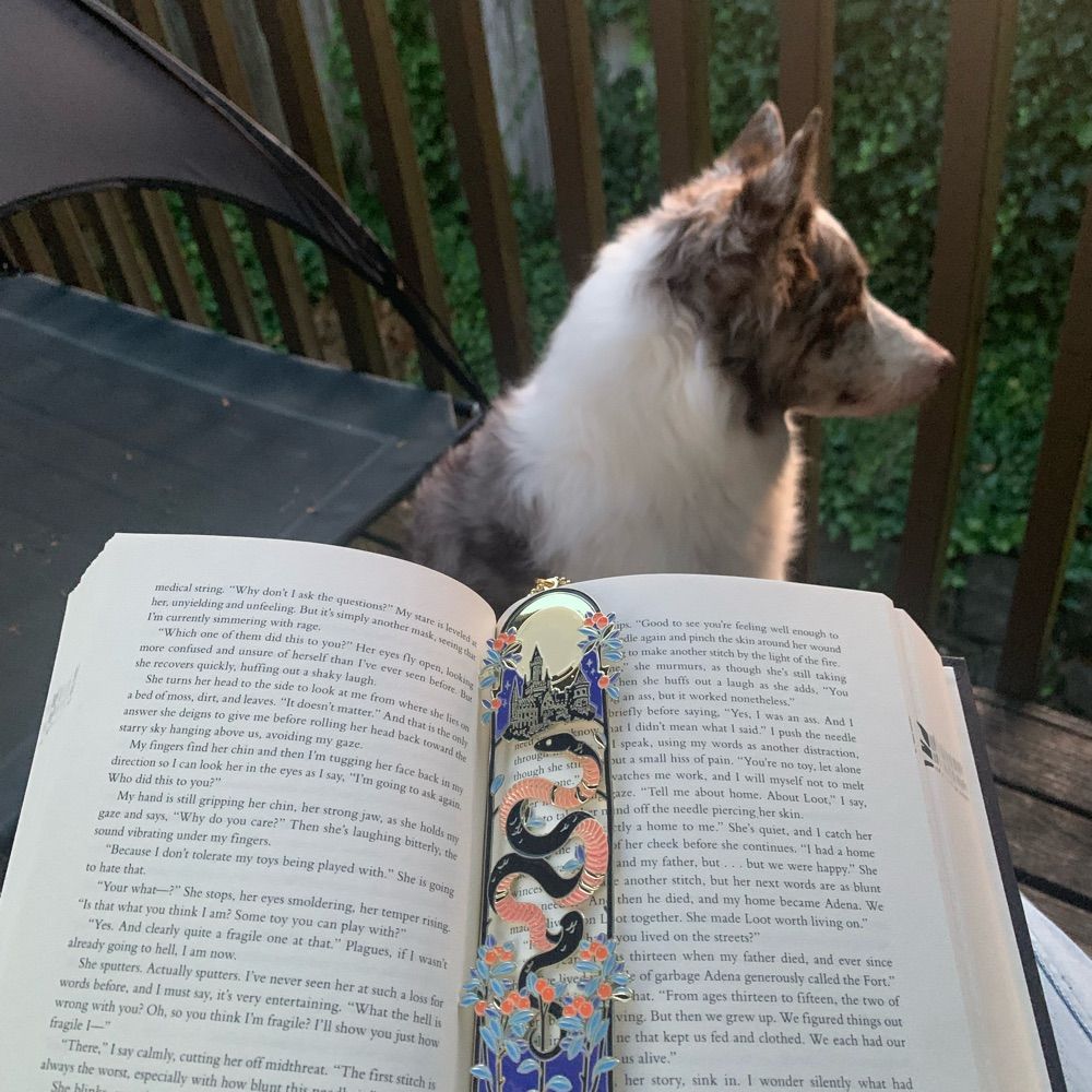 Kat 💙📚