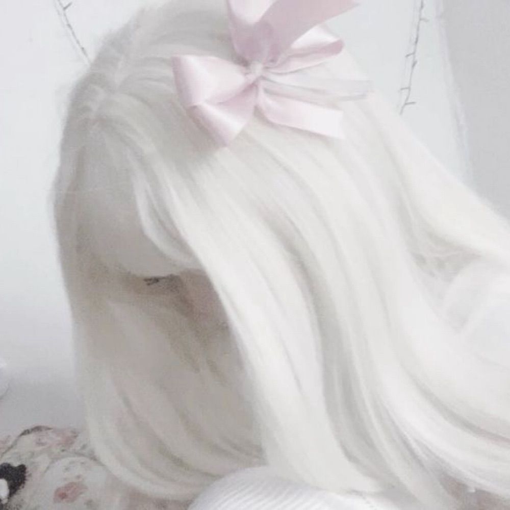ーЭффиш໒꒰ྀི ˶• ༝ •˶ ྀི১