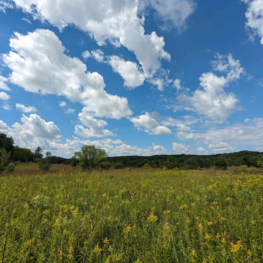 Is this Midwest nice?