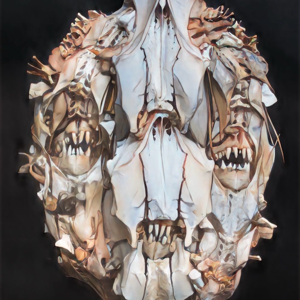 The Dunedin Museum  of Natural Mystery