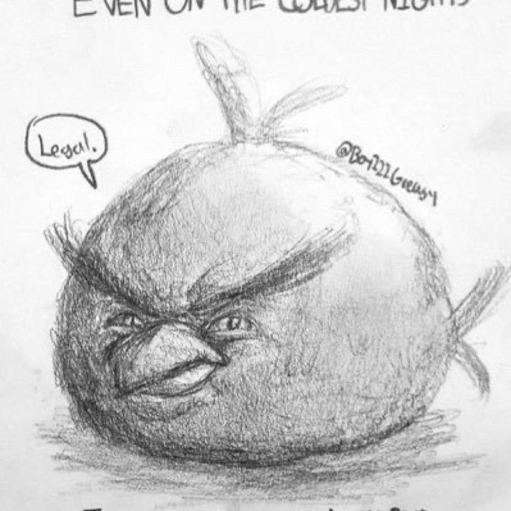 Daily realistic angry bird meme