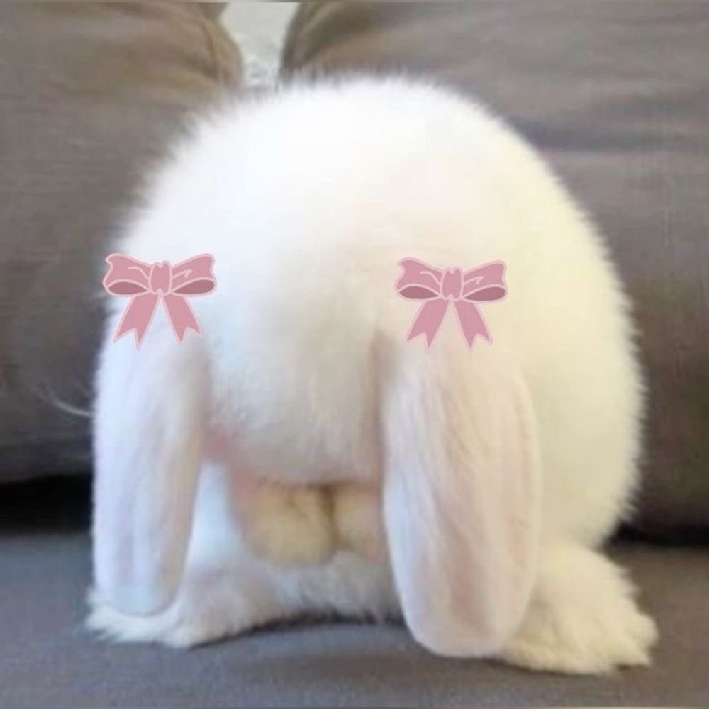 MINNONI🐰