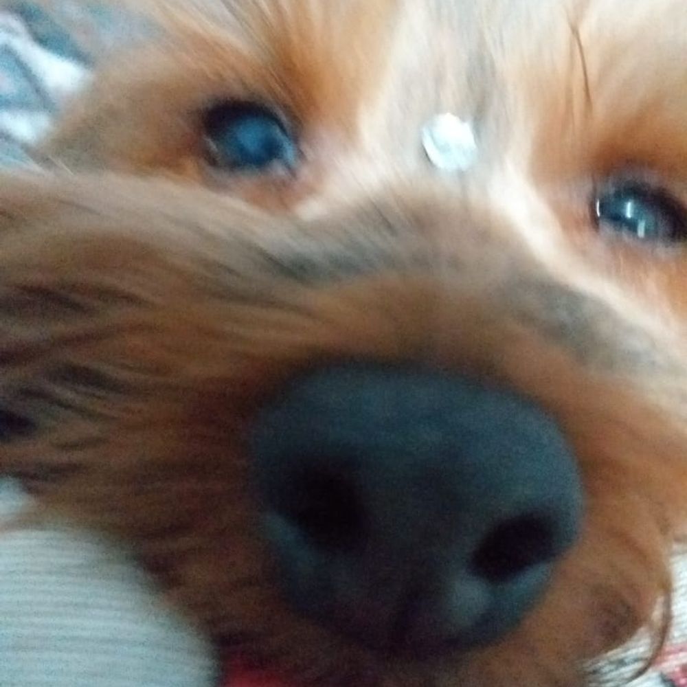 Manu:)