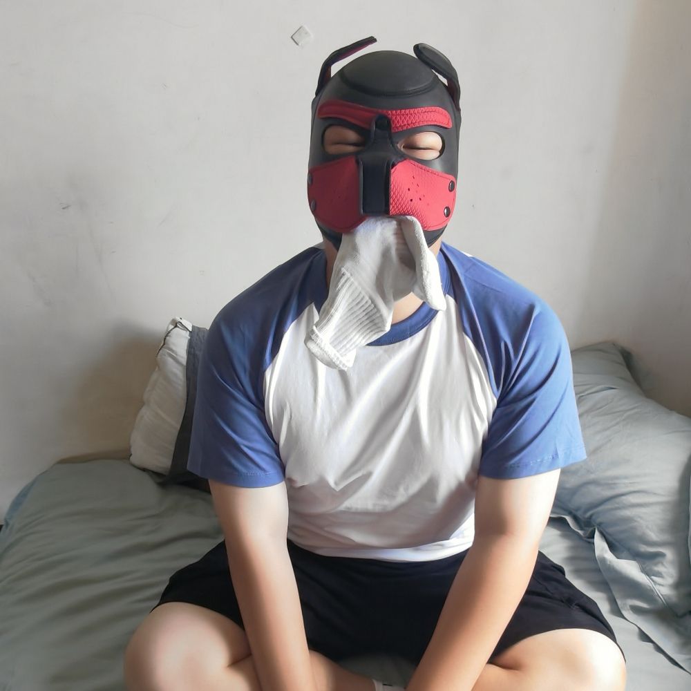秋大狗狗