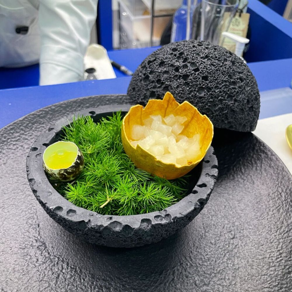 Gourmet Dreamer