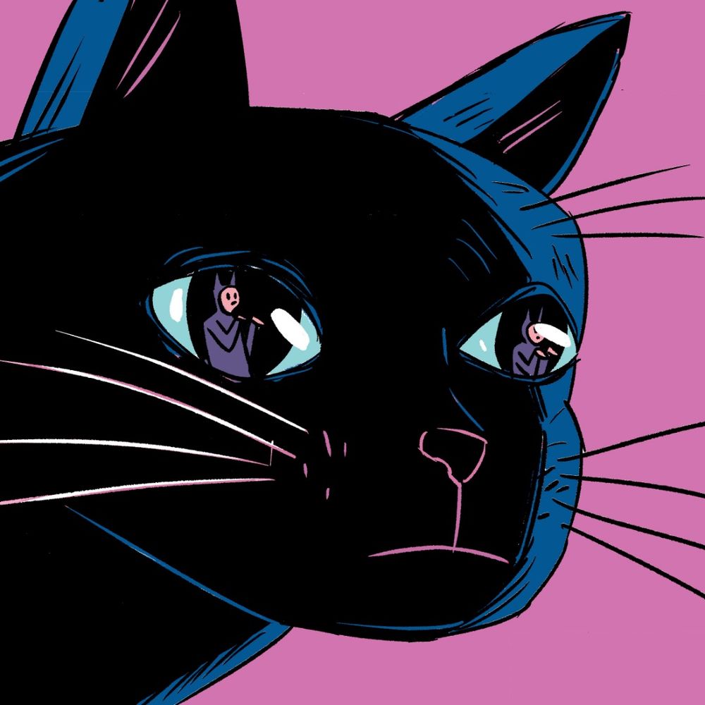 Jonesy_Cat