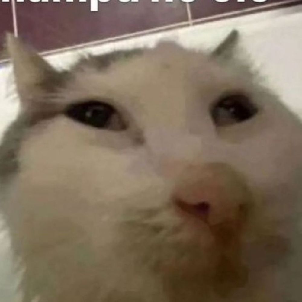 Danispren