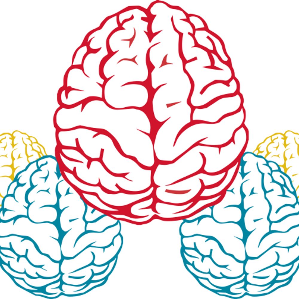 Center for Advanced Human Brain Imaging Research