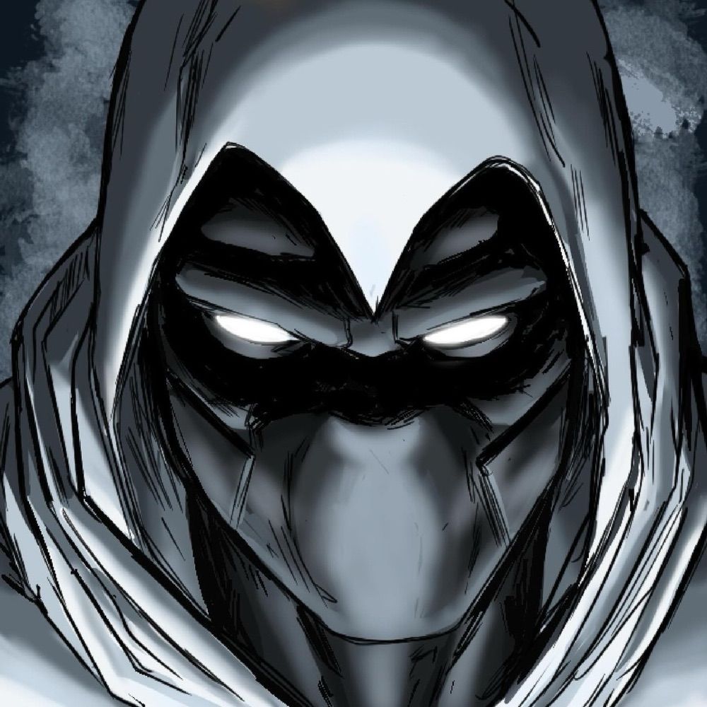 Profile picture themoonknight.bsky.social