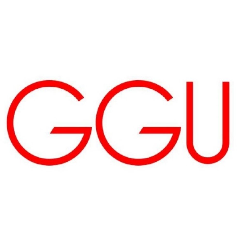 Grupo de Geografía Urbana (AGE)