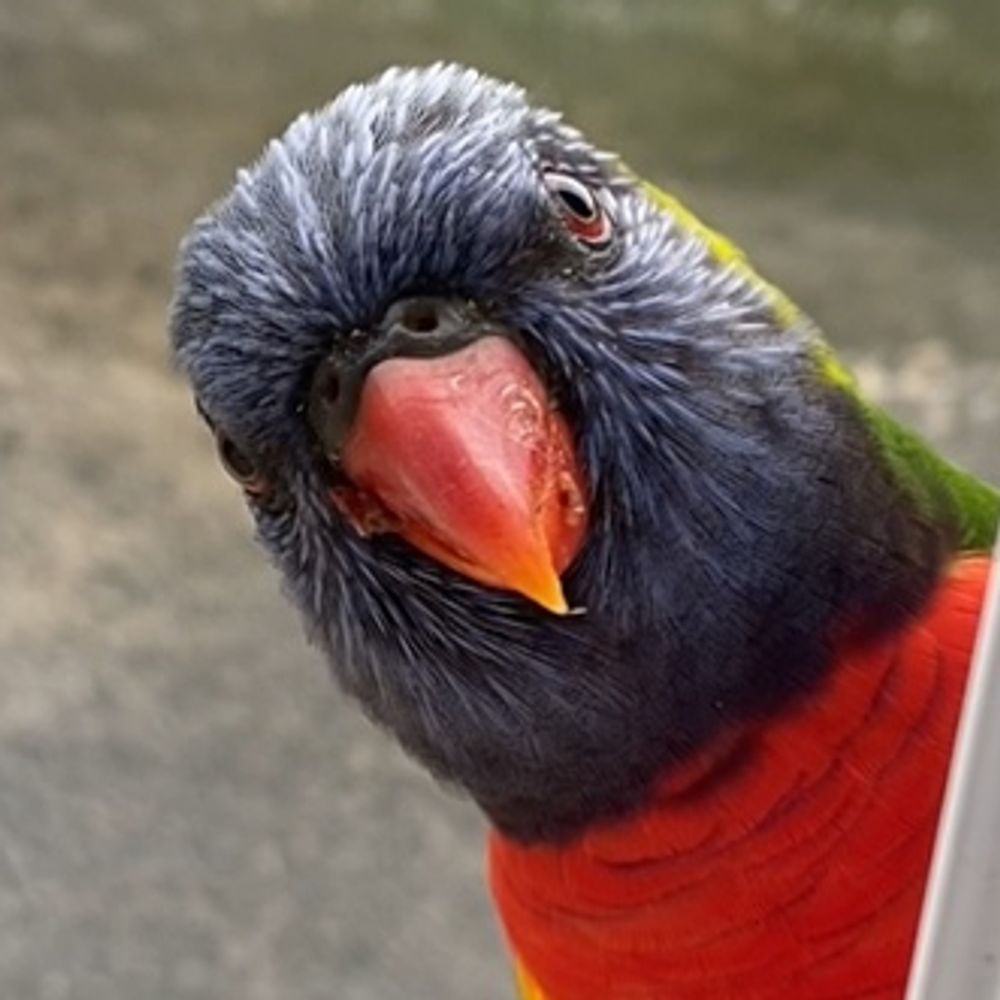Jim