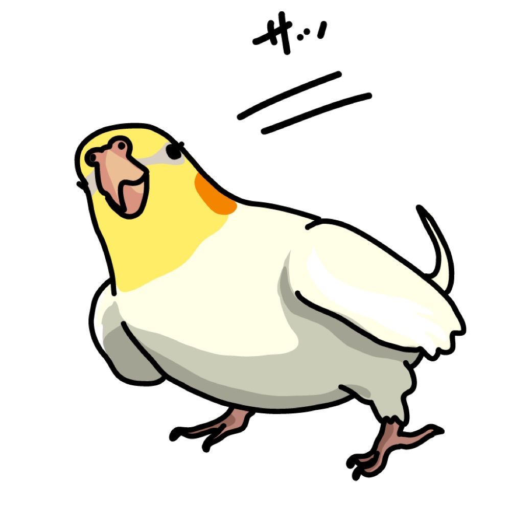 鳥