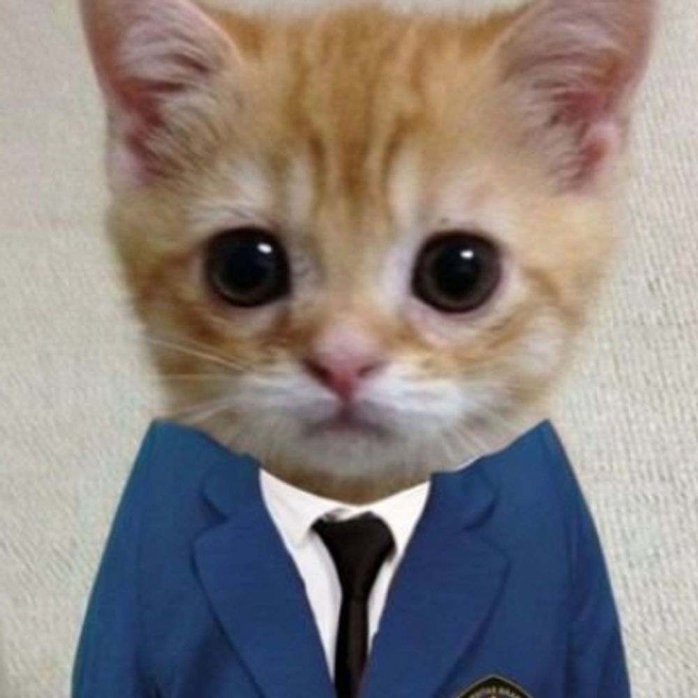 kucing