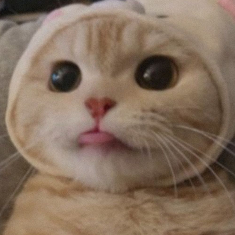 maz