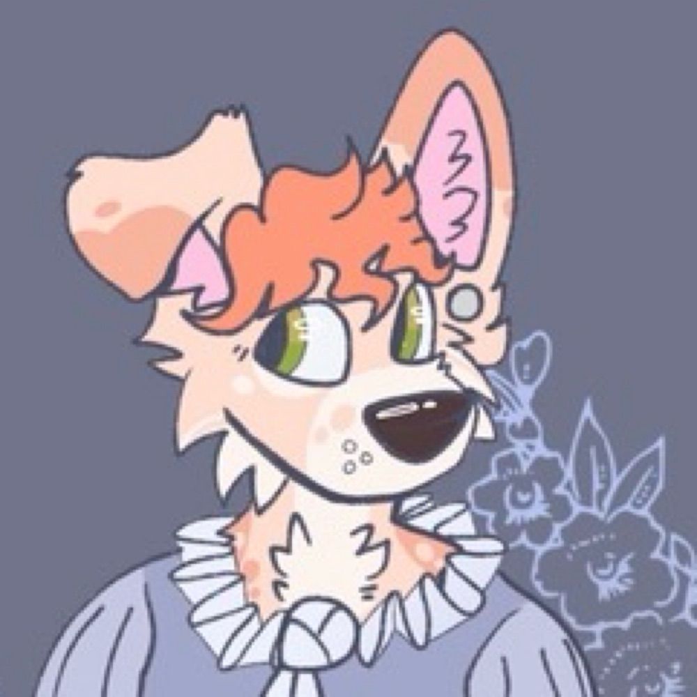 DogNamedStewww