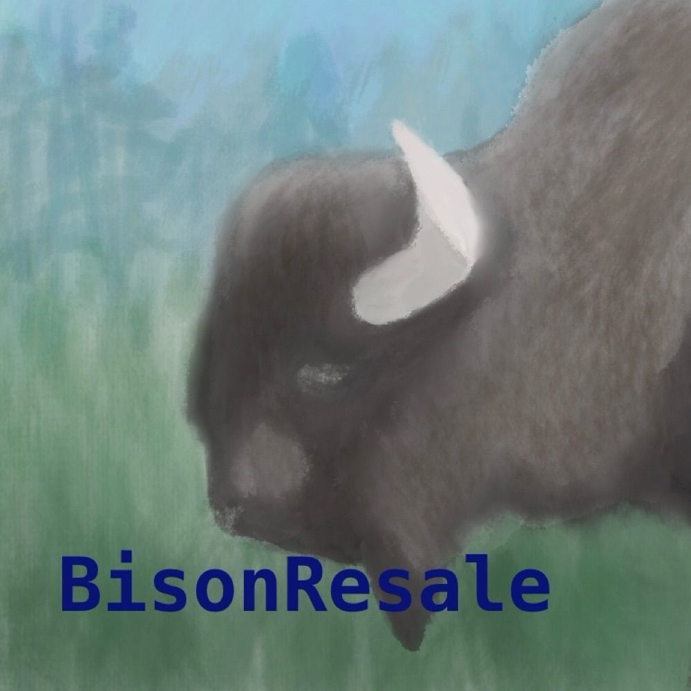 eBay Bison Resale