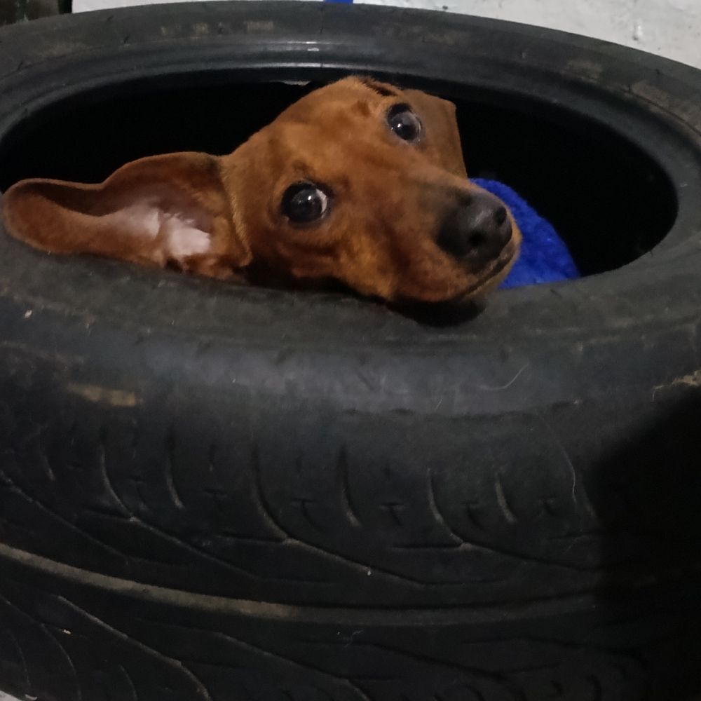 Wan