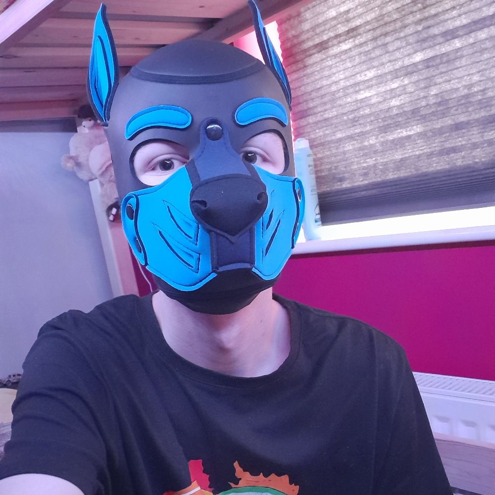 Toastypup