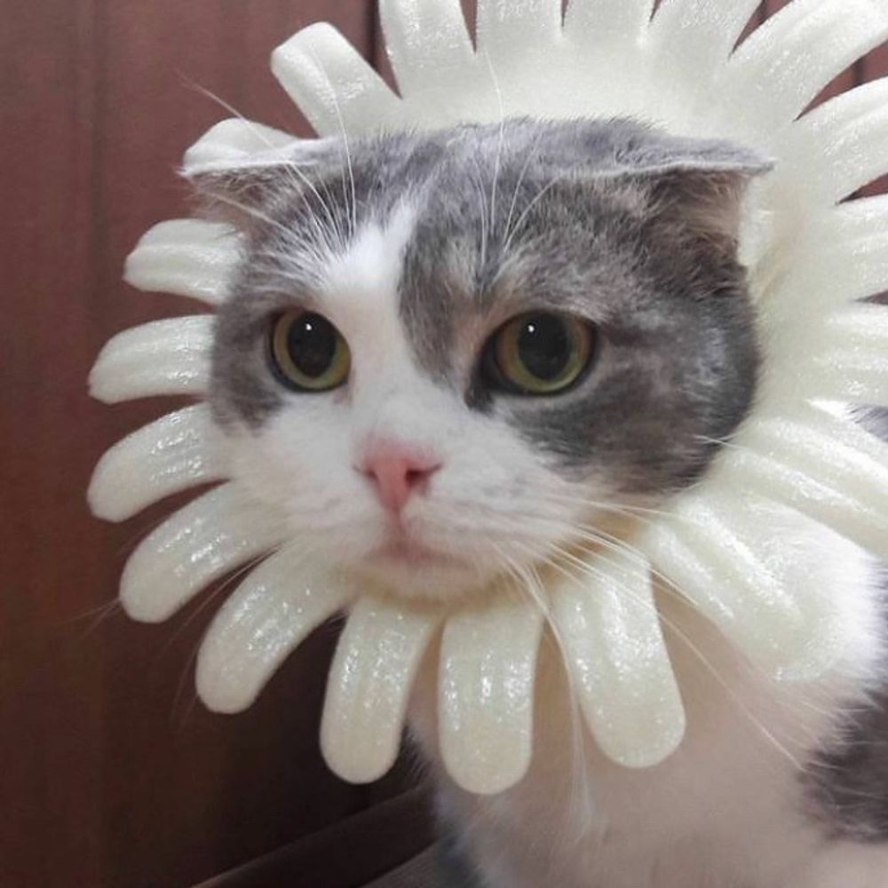 수담