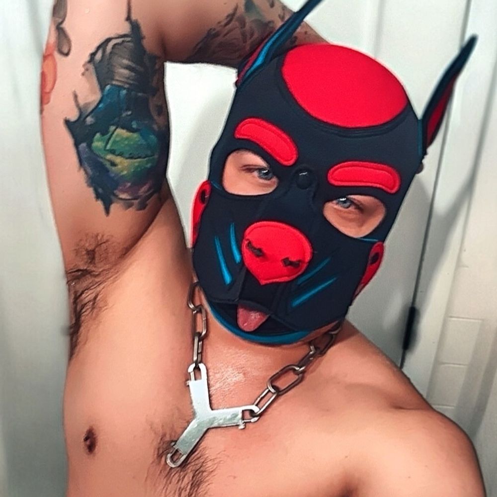 Pup Spike