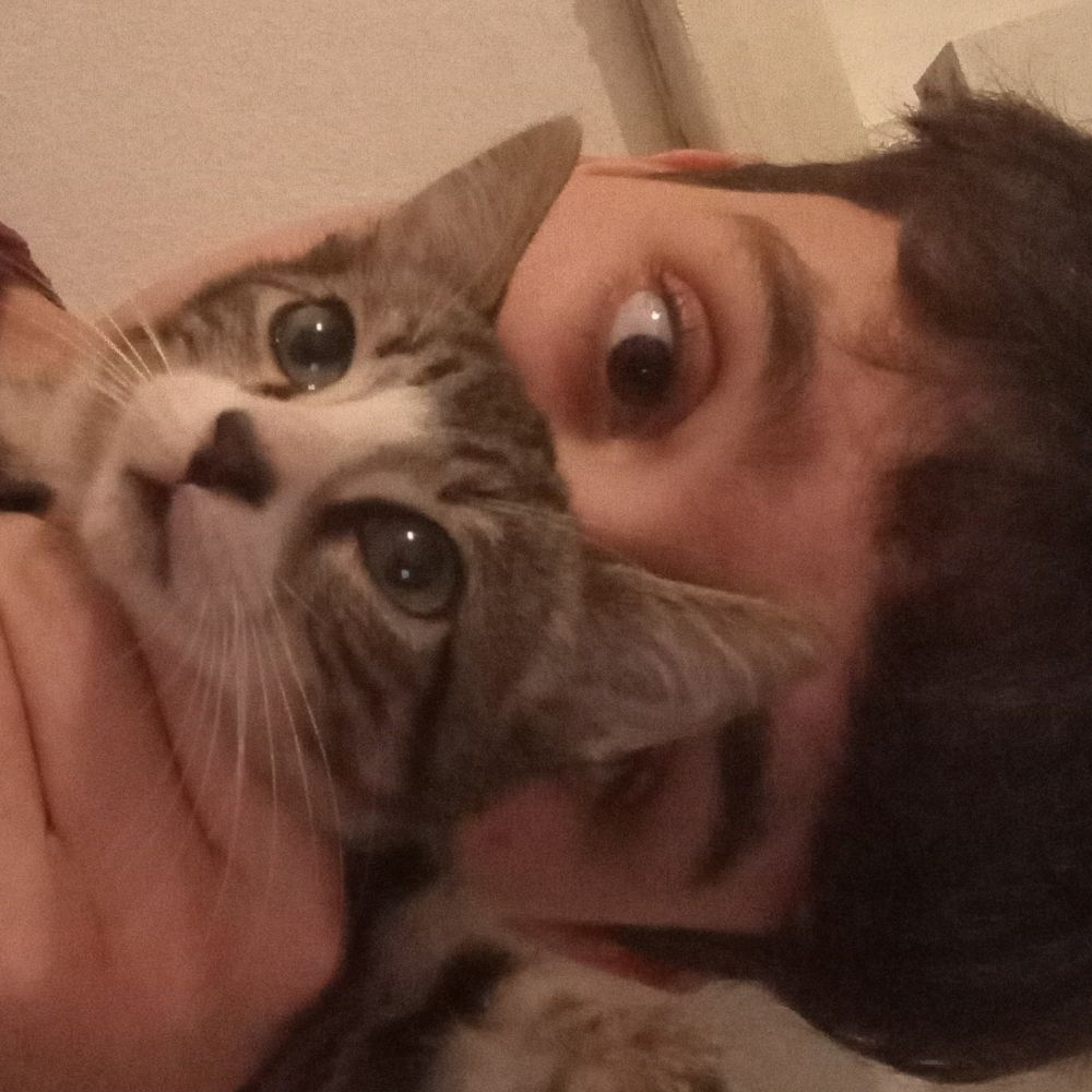 gatinhosmiaumiau