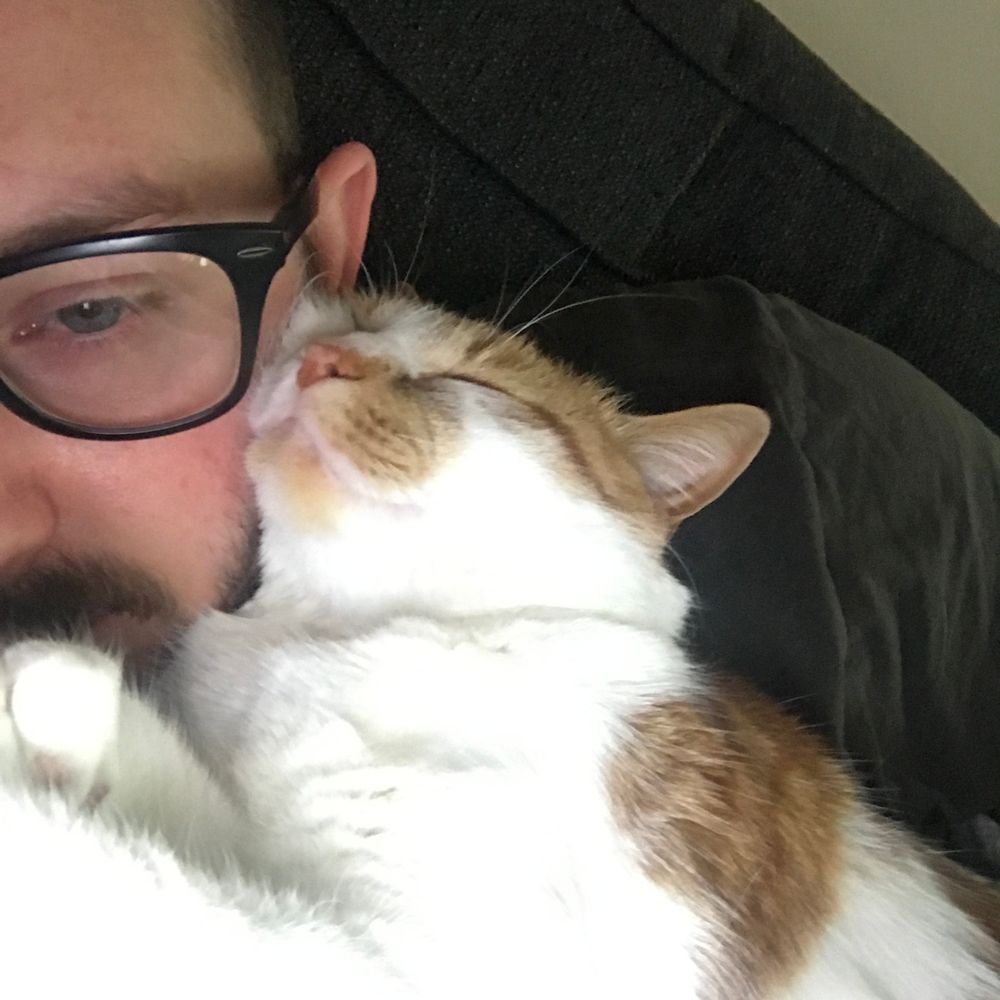 Dan