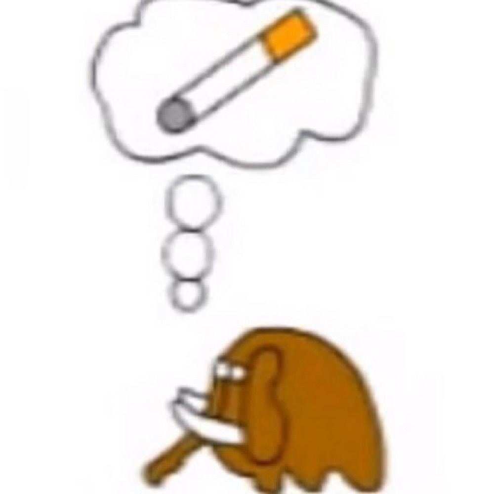 ziger