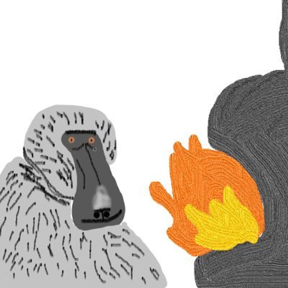 The Baboon Furnace