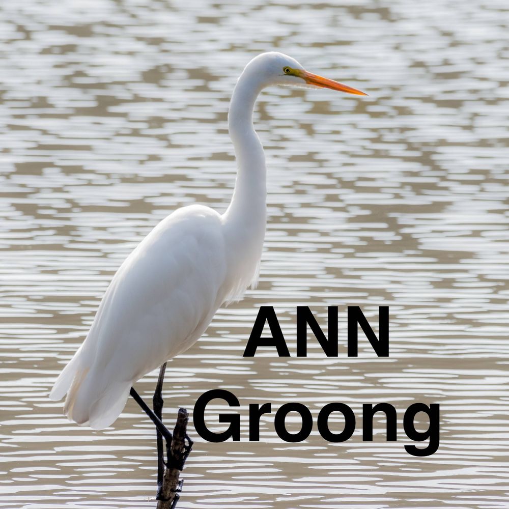 Armenian News Network - Groong