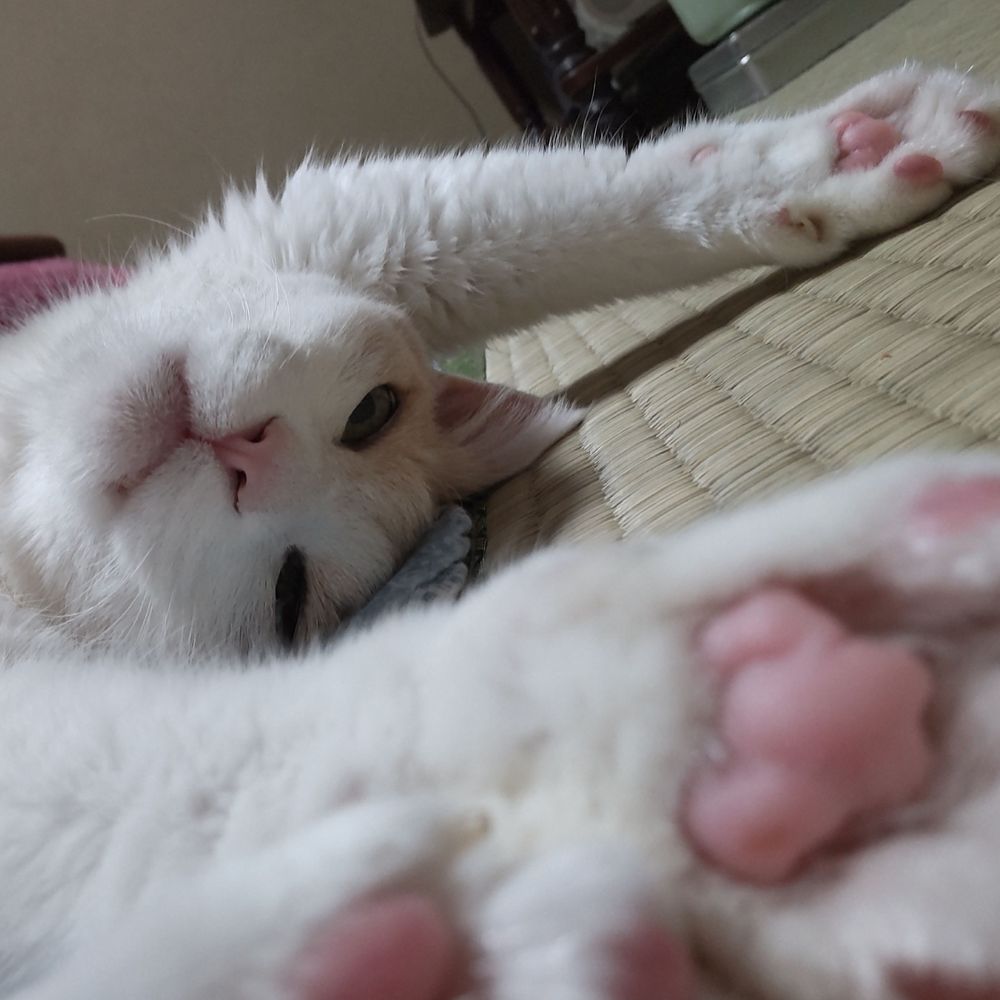 ナミキ