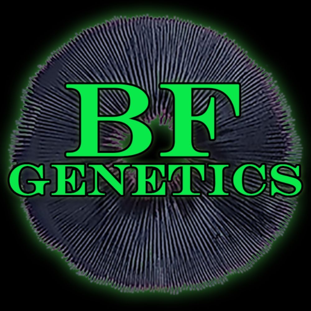 BF Genetics