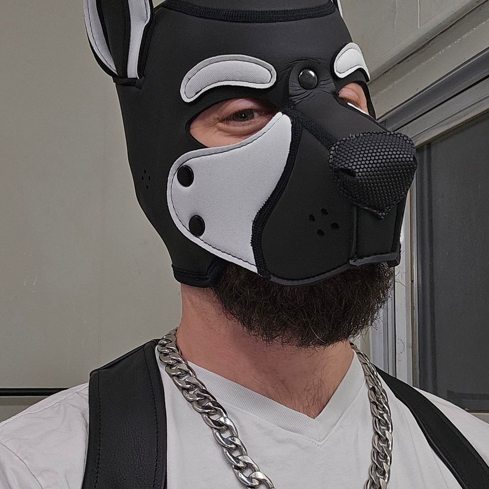Pup.Rut