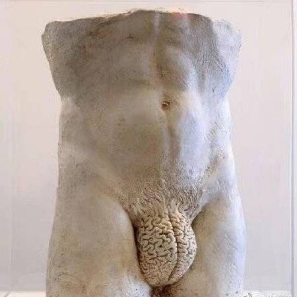 清纯男高中生CCZ