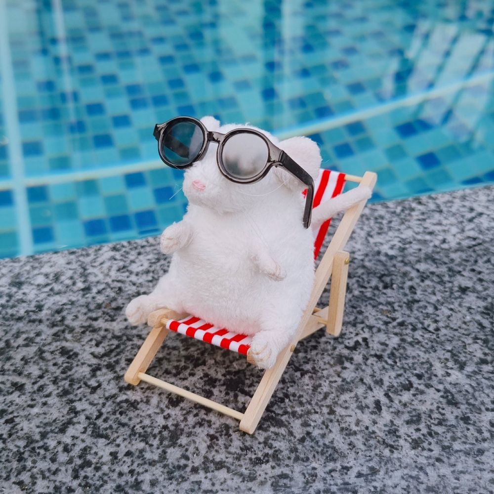 꼬누비