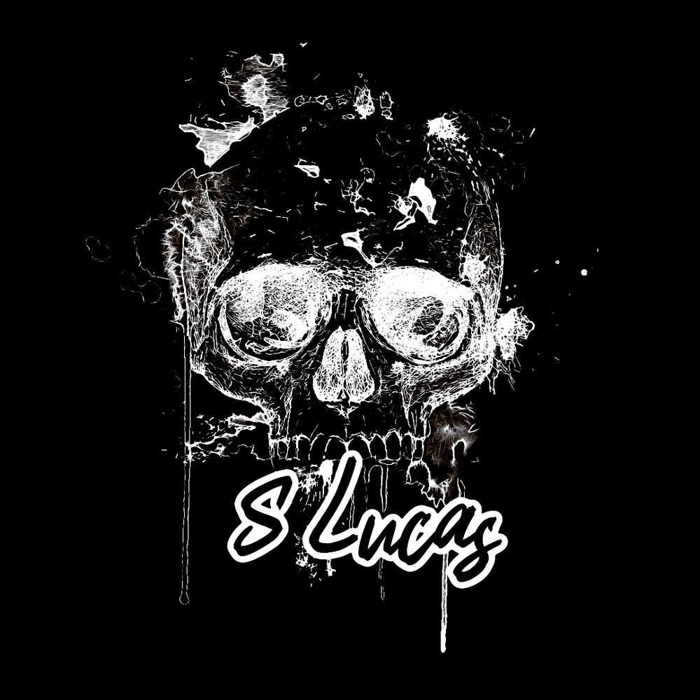 S Lucas Author