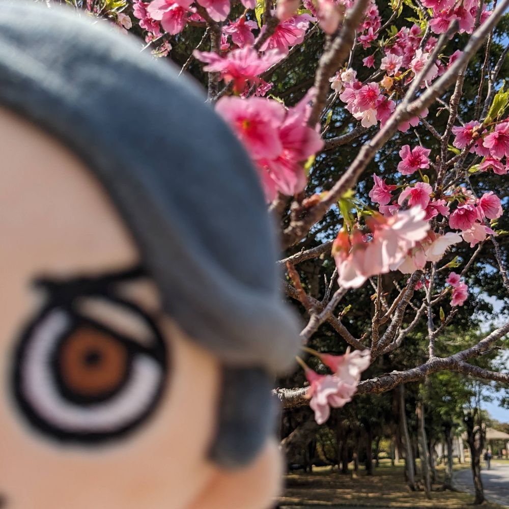 なずな