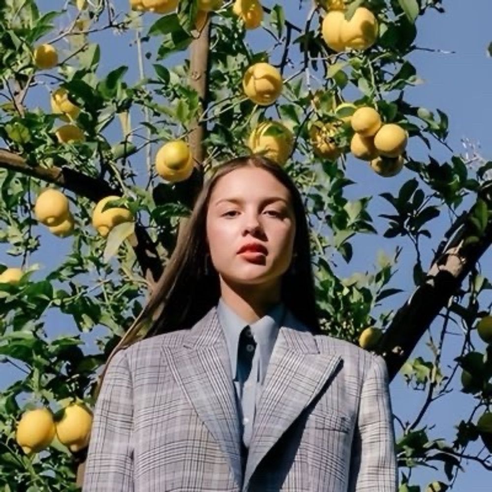 𝐬𝐮𝐧𝐝𝐚𝐲 𝐛𝐫𝐨𝐰𝐧 𝚏𝚝. 🍋