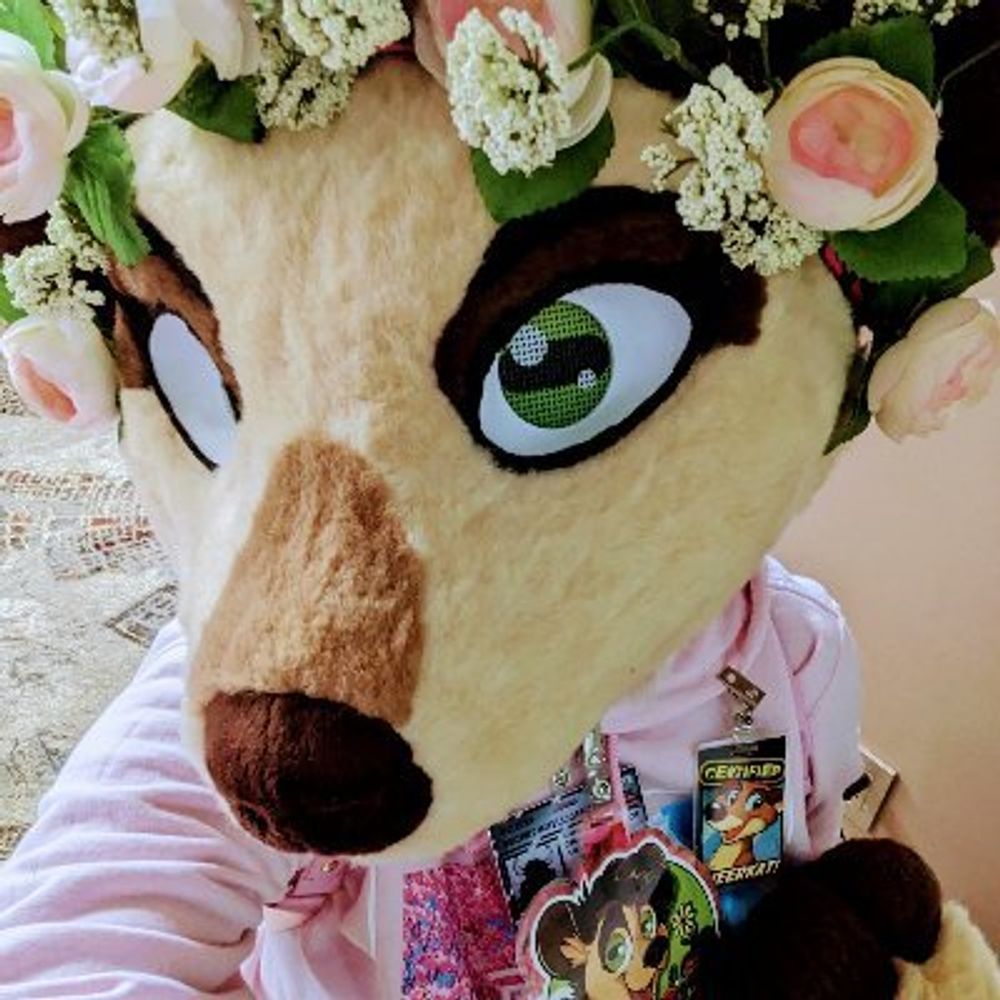 🌻 ShwintyKat 🌻 ➡️ 🌻MFF🌻