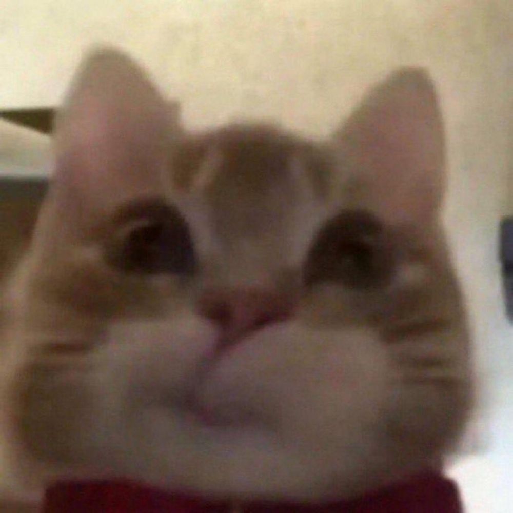 eu vou fumar uma m word
