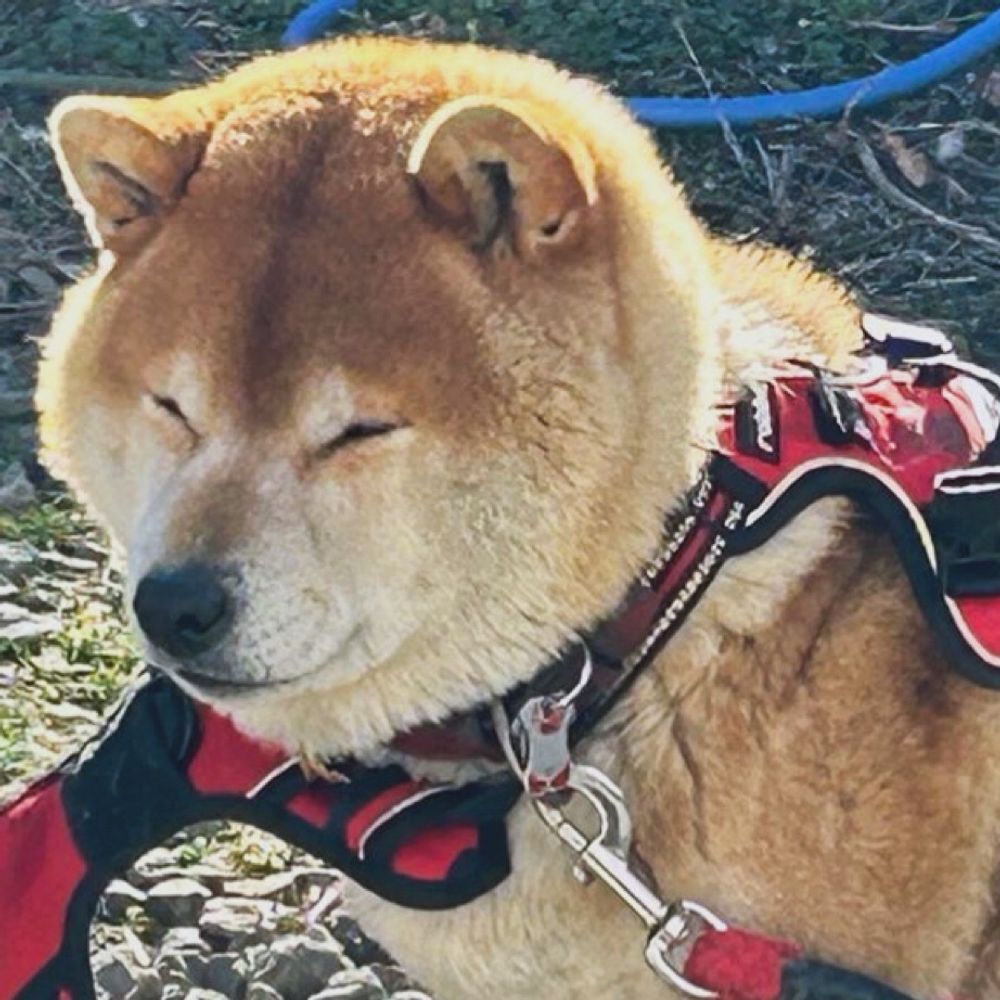 れんてつ
