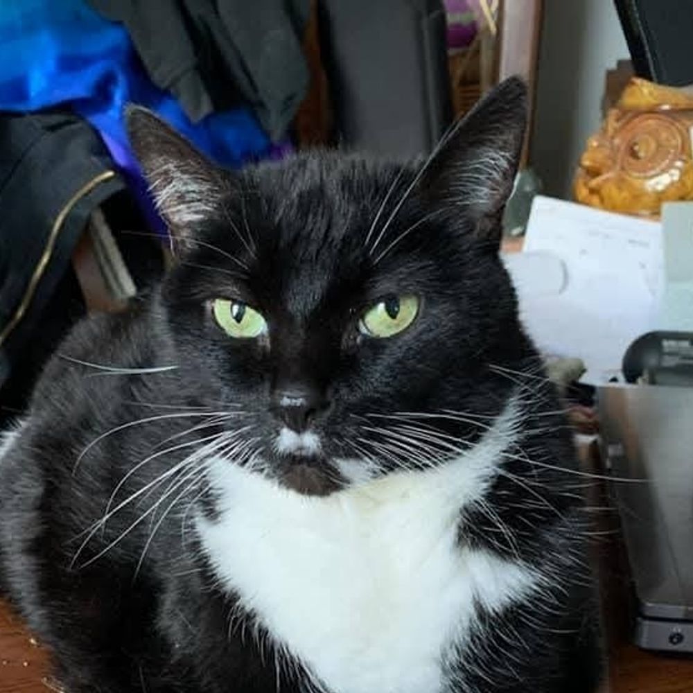 Larry F. K.