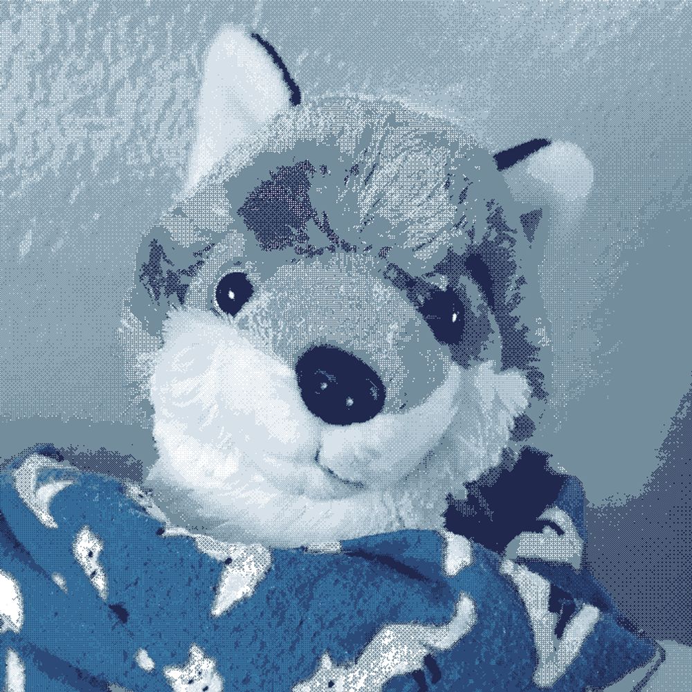 RaineVixen🦊