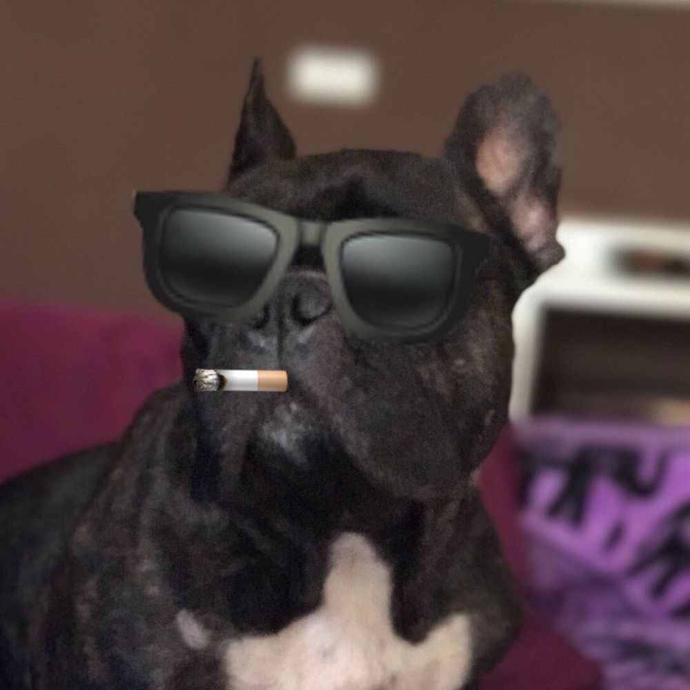 El vegano woke