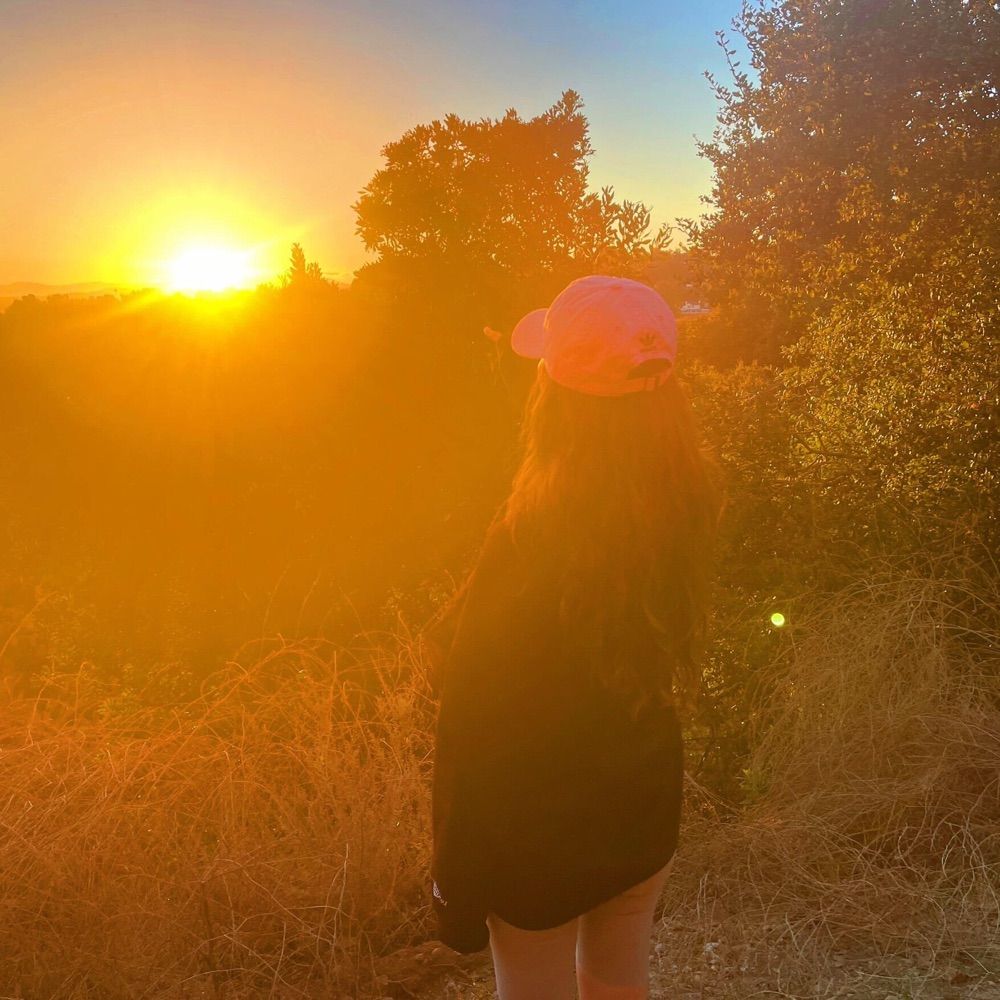 🔥SunsetChaser