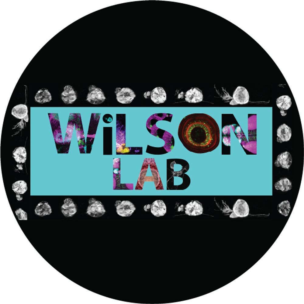 Wilson Lab