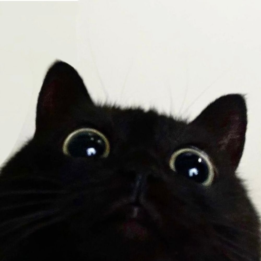 𝖓𝖎𝖒𝖆 ♡