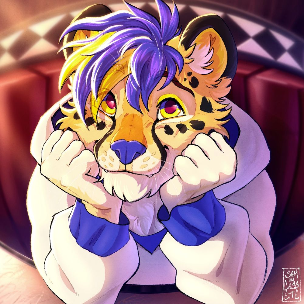 Taiko the cheetah