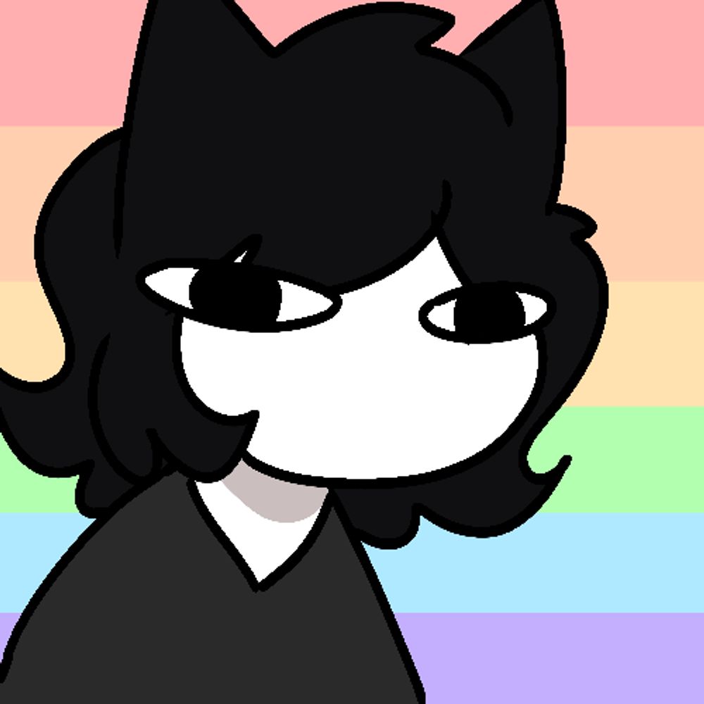 Dingo ⋆˙⟡