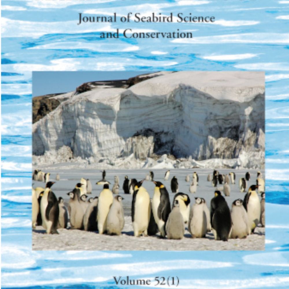Marine Ornithology 